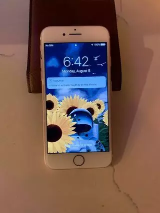 Sunny Fix Phones