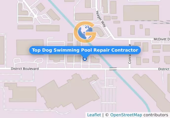 Top Dog Swimming Pool Repair Contractor