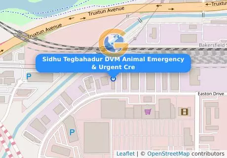 Sidhu Tegbahadur DVM Animal Emergency & Urgent Cre