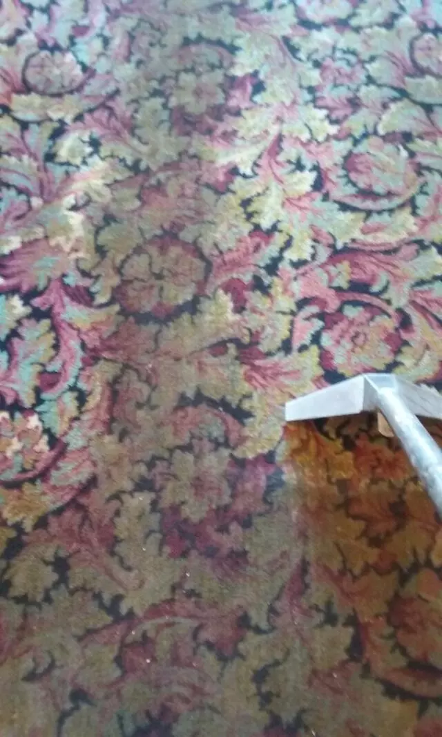A1 Sparkle Steam Carpet Cleaning