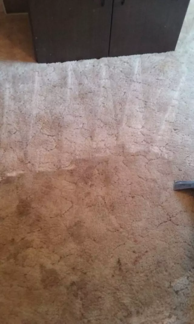 A1 Sparkle Steam Carpet Cleaning