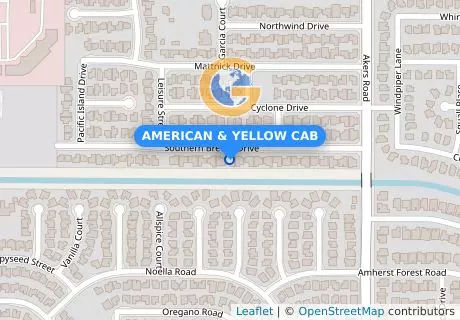 AMERICAN & YELLOW CAB