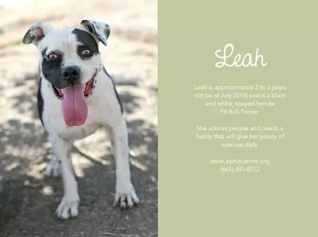 Alpha Canine Sanctuary