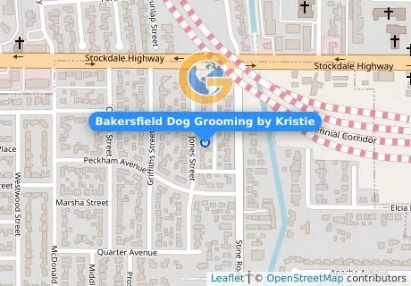 Bakersfield Dog Grooming by Kristie