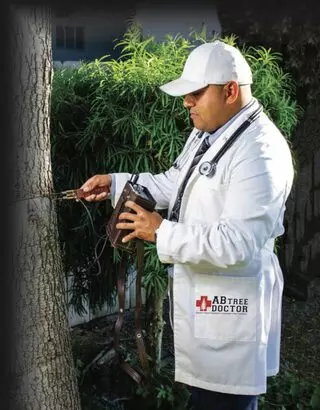 Alvaro Becerra & Associates