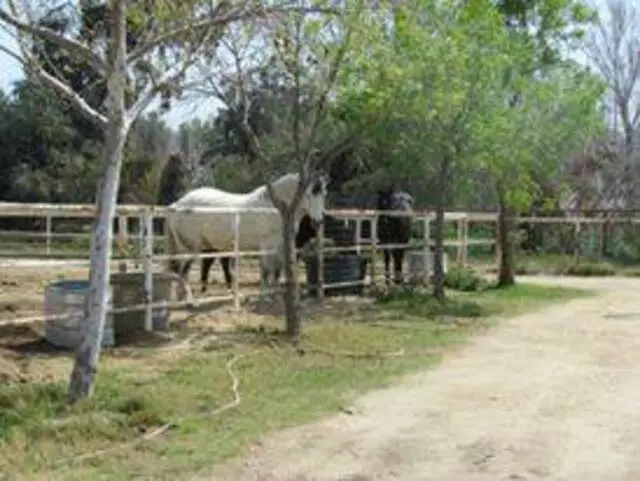 Rancho Rio Equestrian Center