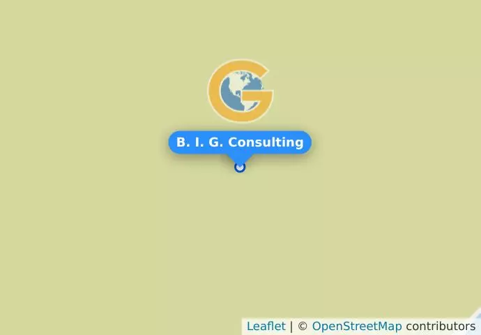B. I. G. Consulting