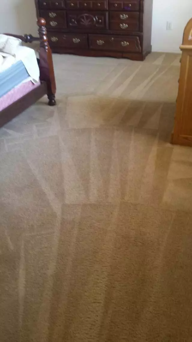 5 Star Carpet Care