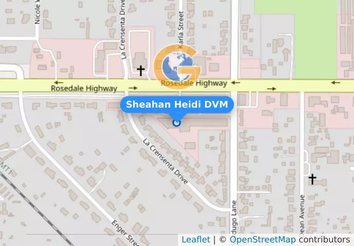 Sheahan Heidi DVM