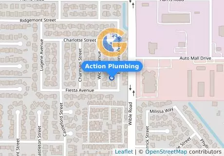 Action Plumbing