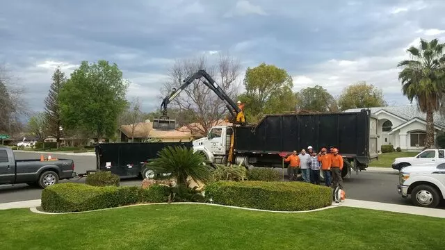 Rancho Tree Service