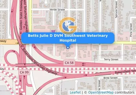 Betts Julie D DVM Southwest Veterinary Hospital