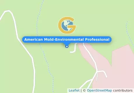 American Mold-Environmental Professional