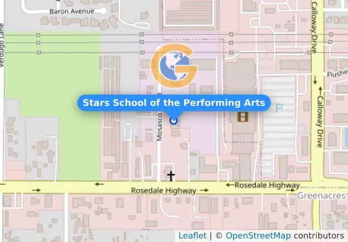 Stars School of the Performing Arts