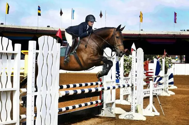 PDM Stables