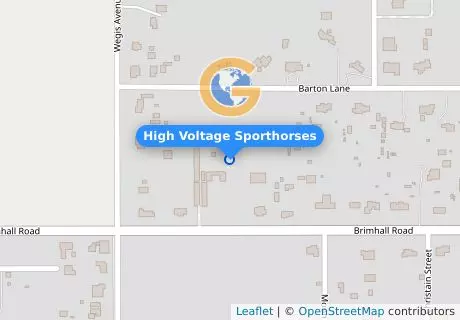 High Voltage Sporthorses