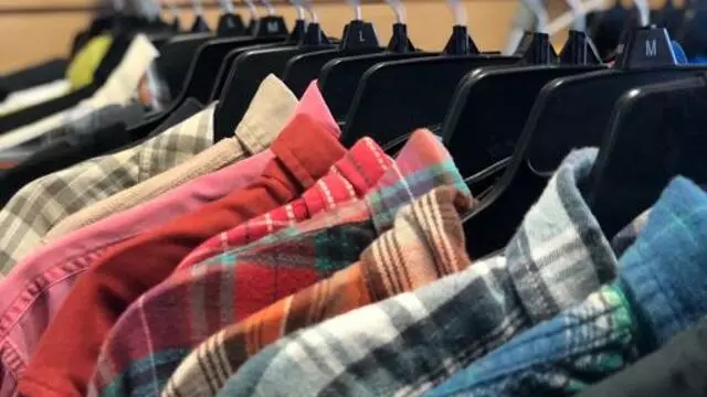 Paloma: Thrift Store