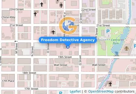 Freedom Detective Agency