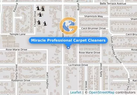 Miracle Professional Carpet Cleaners