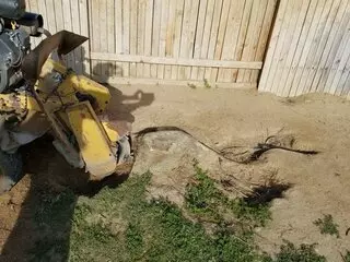 Stump Masters