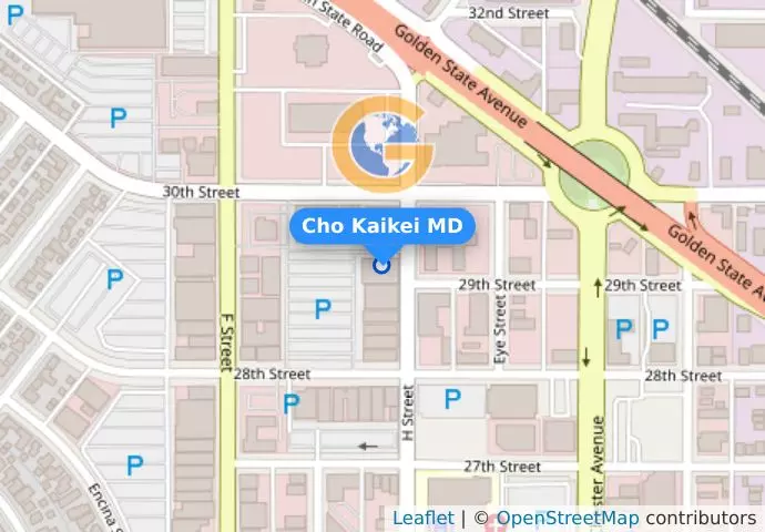 Cho Kaikei MD