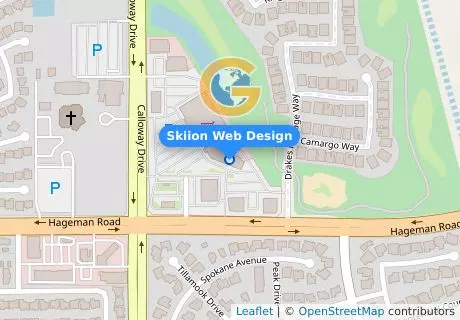 Skiion Web Design