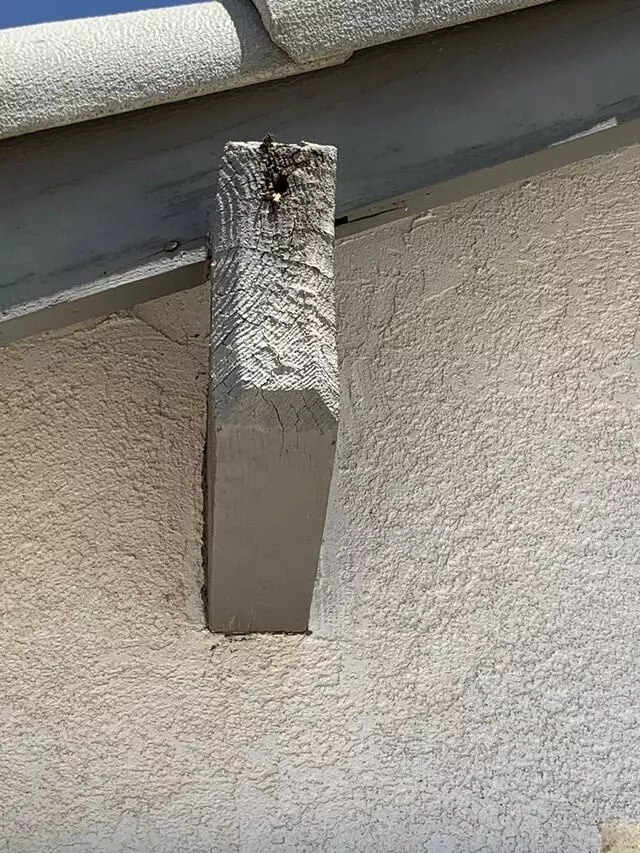 Ryan&apos;s Structural Termite Control