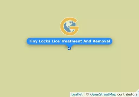 Tiny Locks Lice Treatment And Removal