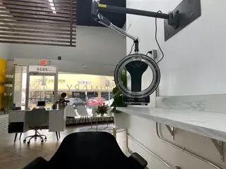 Primary The  Salon