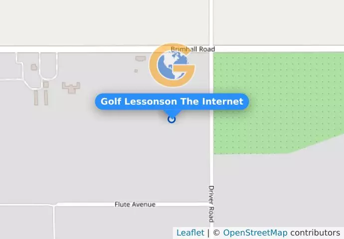 Golf Lessonson The Internet