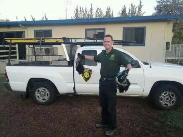 Animal Capture Wildlife Control