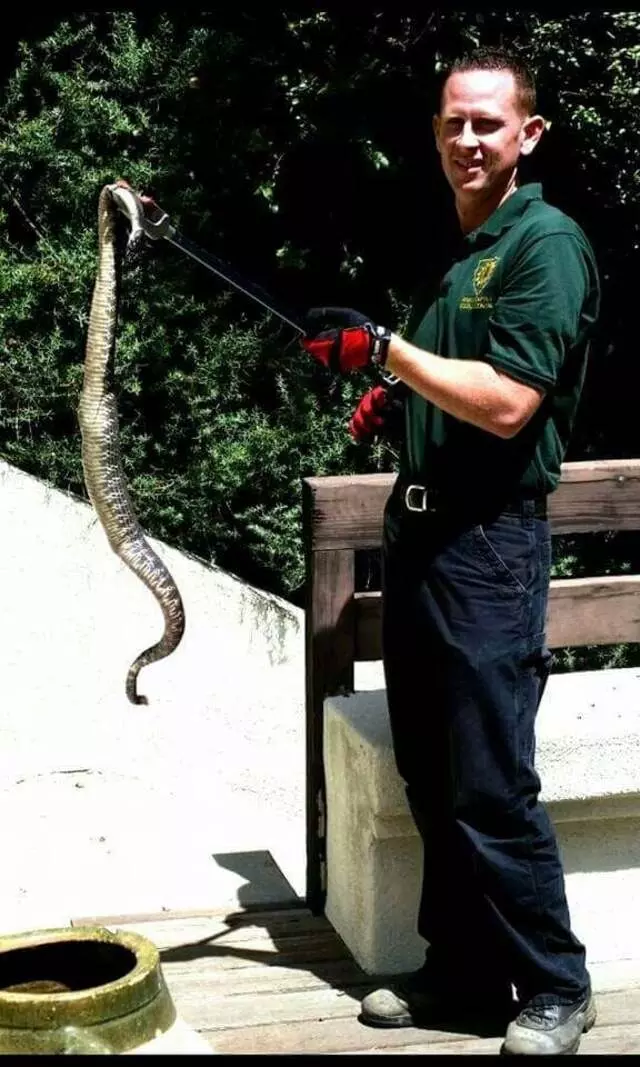 Animal Capture Wildlife Control