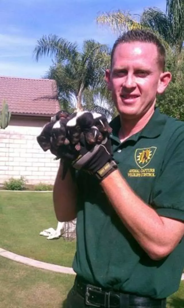 Animal Capture Wildlife Control
