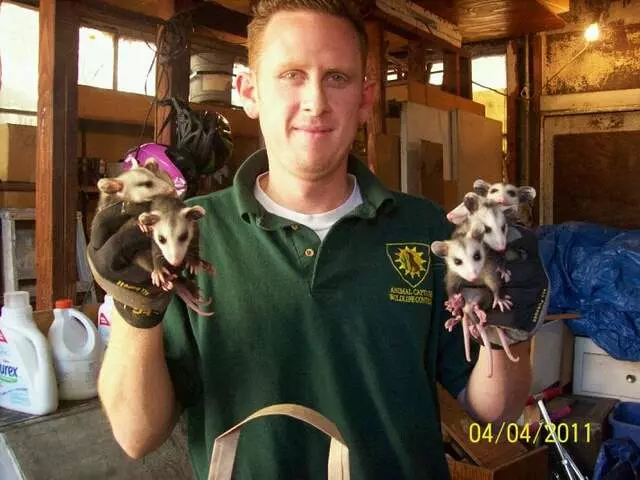 Animal Capture Wildlife Control