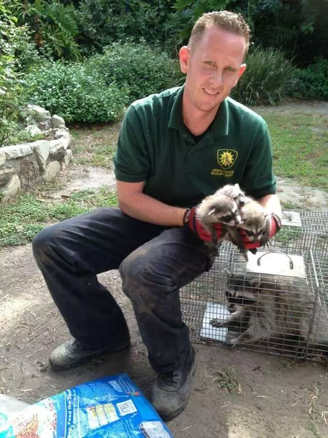 Animal Capture Wildlife Control