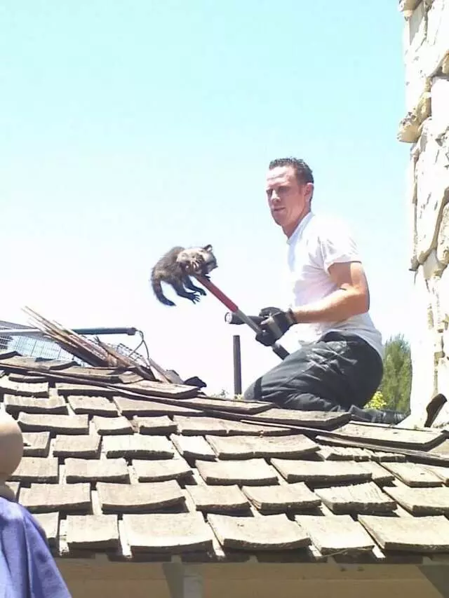 Animal Capture Wildlife Control