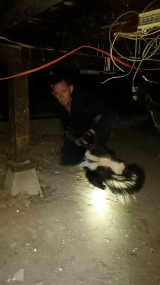 Animal Capture Wildlife Control