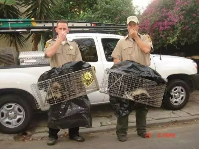 Animal Capture Wildlife Control