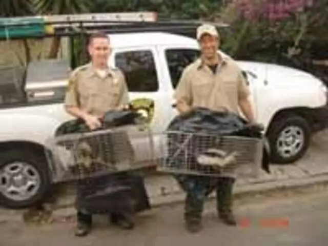 Animal Capture Wildlife Control
