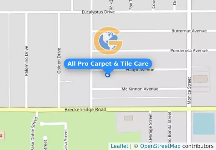 All Pro Carpet & Tile Care