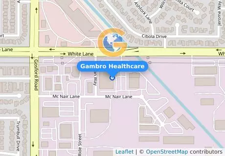 Gambro Healthcare