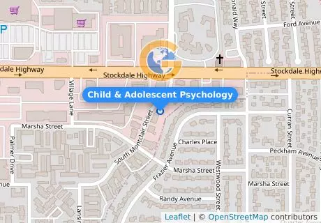Child & Adolescent Psychology