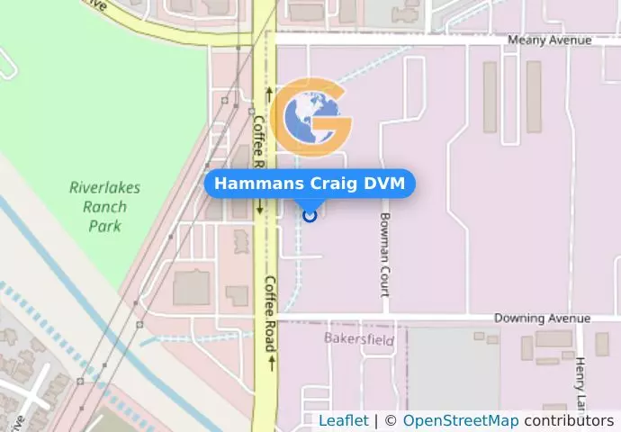 Hammans Craig DVM