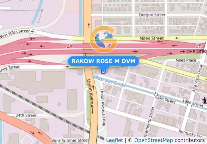 RAKOW ROSE M DVM