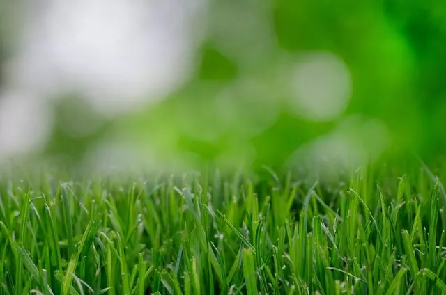 Central Valley Landscaping