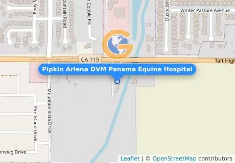 Pipkin Arlena DVM Panama Equine Hospital