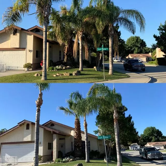 J Flores Tree Service