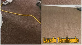 Magnific Pro Cleaning
