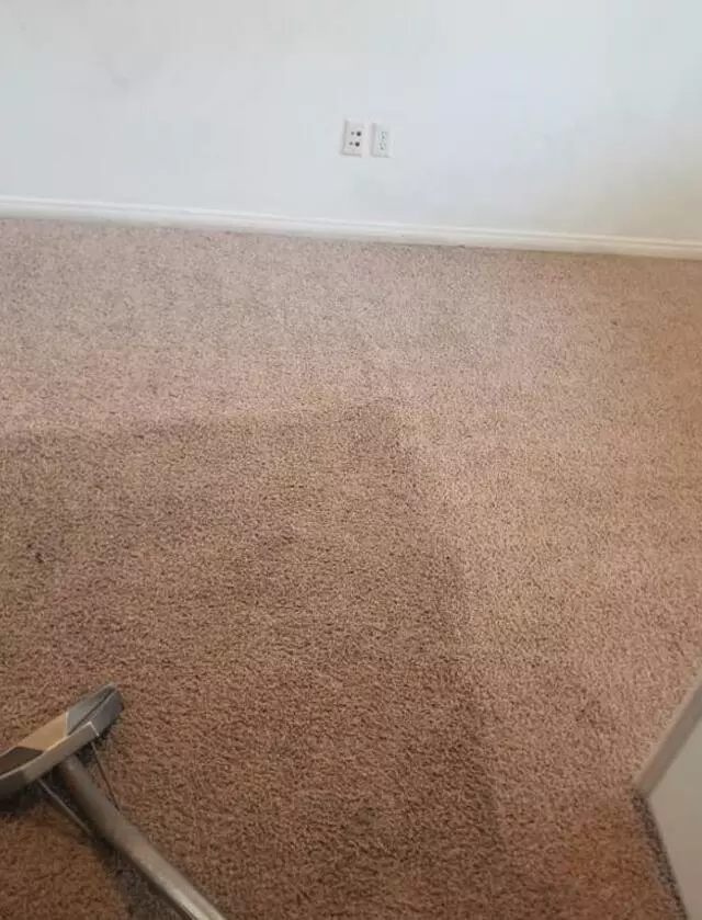 Magnific Pro Cleaning