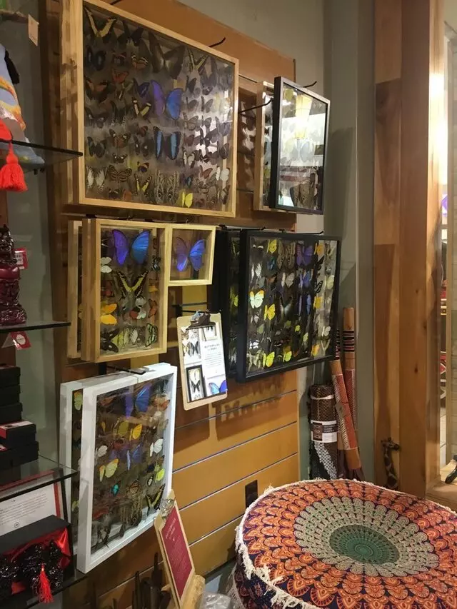 Earthbound Trading Company